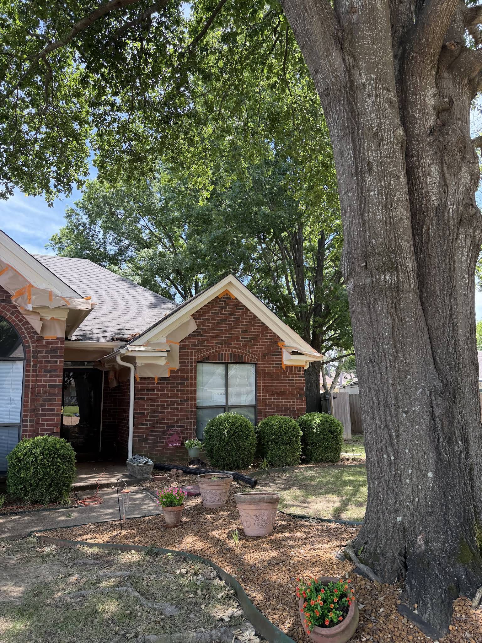 El Shadday Construction | 38122, TN